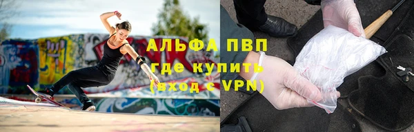 тгк Ладушкин