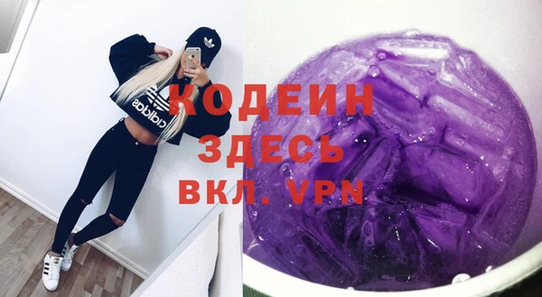 индика Дегтярск
