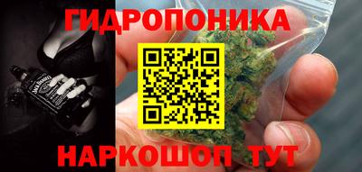 молекула духа Шебекино