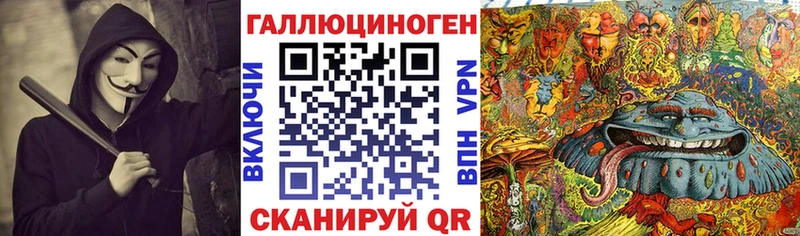 сколько стоит  Курганинск  Псилоцибиновые грибы Cubensis 