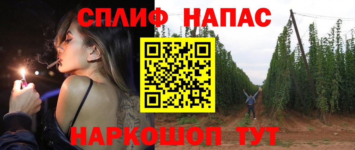 Бошки Шишки планчик  Марихуана OG Kush  Курганинск  Канабис гибрид  Вход с VPN 